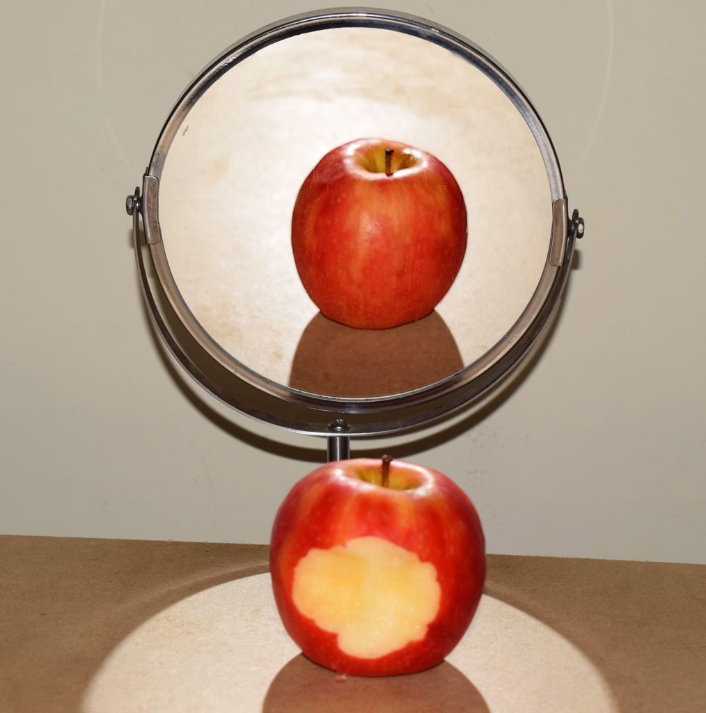 An apple, whole on top and bitten below, reflected in a circular mirror
